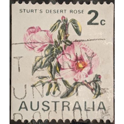STAMP Australia SG465a 1971 2c Sturt's Desert Rose Used