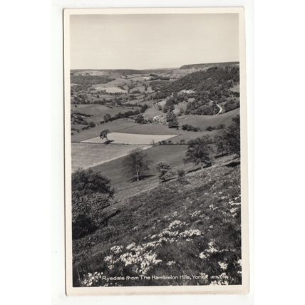 Ryedale from the Hambleton Hills Postcard RP North Yorkshire