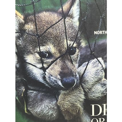 National Geographic Magazine March 1995 Dead or Alive Vintage Collectable b