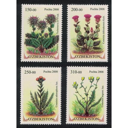 Uzbekistan Flowers Cousinia Daisy Family 4v 2008 MNH SG#635-638