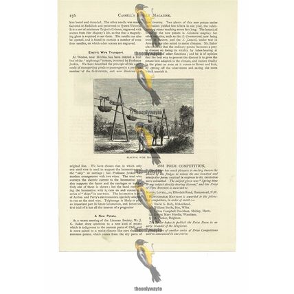 Electric Wire Transport, Victorian Invention, Book Illustration (Print), 1884