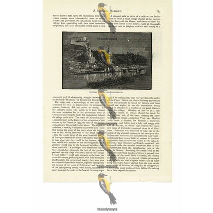 Dinant-sur-Meuse, Belgium, Book Illustration (Print), 1884