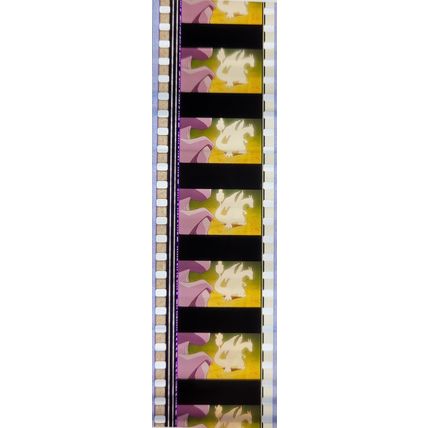 Pokemon . Pk FBP - f0152V . 1 STRIP OF 5 - 35MM FILM CELLS