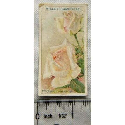 1926 Wills Roses No. 37 Mrs. Charles Lamplough