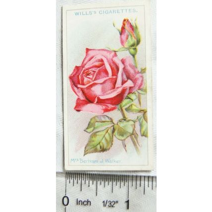 1926 Wills Roses No. 36 Mrs. Bertram J. Walker