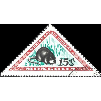 MONGOLIA, MAMMAL, Muskrat, Ondatra zibethicus, red 1959, 15mongo, #4