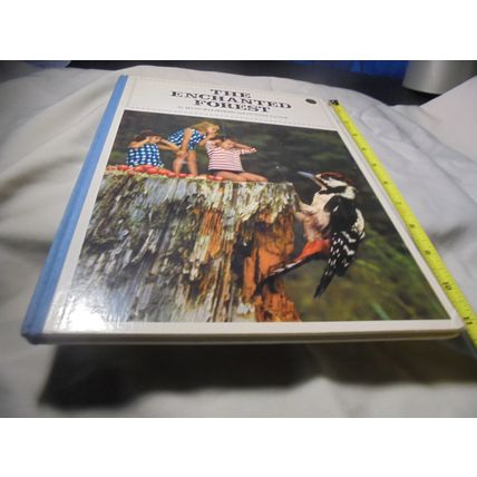 1966 British HC! The ENCHANTED FOREST! Classic Kids Book! Read!! $30.00!!