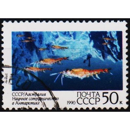 Russia. 1990 50k S.G.6152 Used