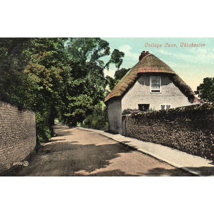 College Lane - CHICHESTER - Sussex Street View Original Postcard (SUS96)