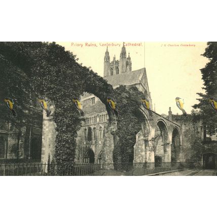 Priory Ruins, Canterbury Cathedral, J G Charlton Postcard, 1900/10s
