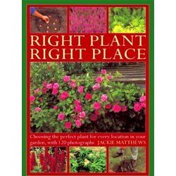 Right Plant Right Place