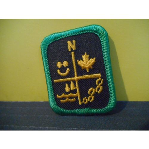 Girl Scouts Merit Badge Patch Brownies Guides