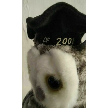 Ty Beanie Babies Graduation Owls Series (1998 - 2001) Lot of 4