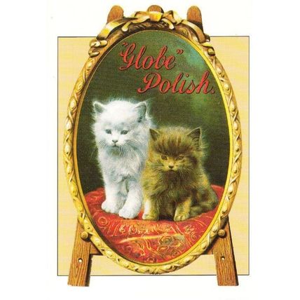 Cat Cats Romantic In Victorian Mirror Shoe Globe Polish Gloucester Rare Postcard
