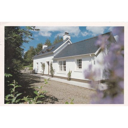 Pembrokeshire Coast and Country Holidays Postcard posted 1993 crease