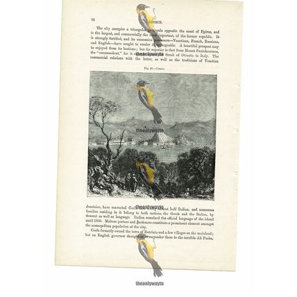 Corfu, Greece, Book Illustration (Print), 1880