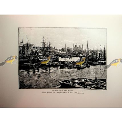 Thames & Tower Of London, Boudier/Wilson, Book Illustration (Print), 1892