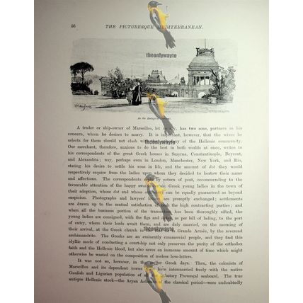 Zoological Gardens, Marseilles, France, Book Illustration (Print), 1890