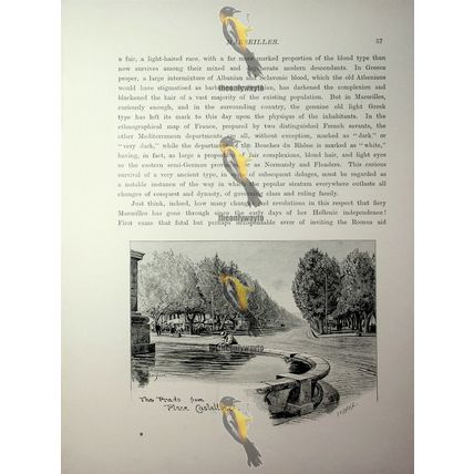 Prado From Place Castellane, Marseilles, France, Book Illustration (Print), 1890