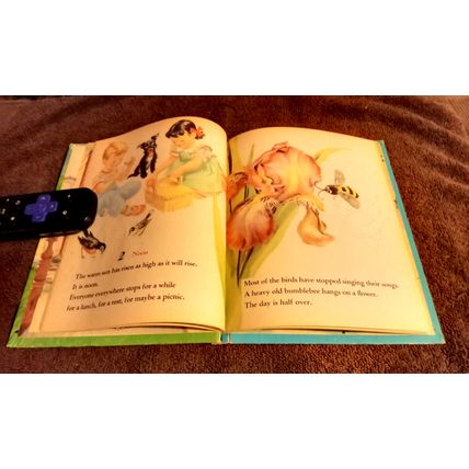 Wonder Book Series It's A Lovely Day By Marguerite Walters Reprinted 1977