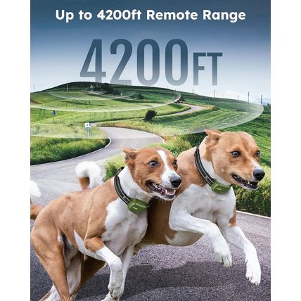 Jugbow Dog Shock Collar 2 Dogs (10-120Lbs) - 4200FT Dog Training Collar with Rem
