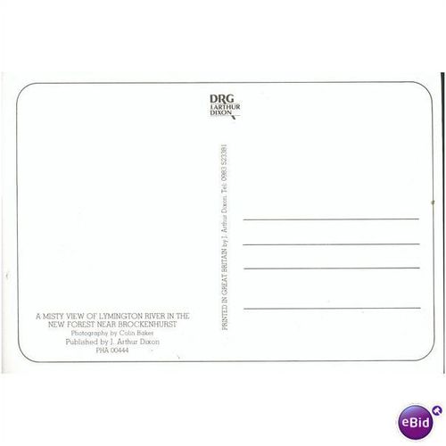 GB Postcard - New Forest - Hampshire, Misty View