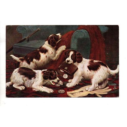 ARTIST DRAWN POSTCARD BY B.COBBE DOGS WITH PURSE POSTED 1906 (3755)
