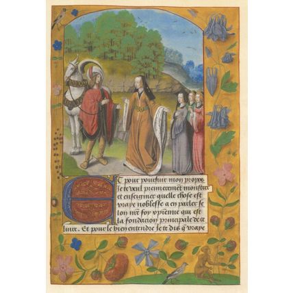 Imagination De Vraye Noblesse Quentin Poulet Book Postcard
