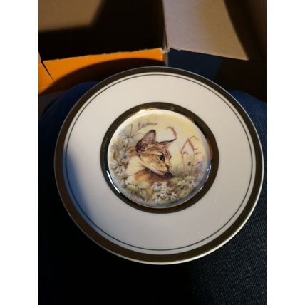 Shudehill Giftware Plate Cat