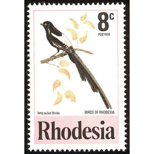 Rhodesia QEII 1977 Birds 8c Eastern Shrike Unmounted Mint NHM SG 540 Sc378 stamp