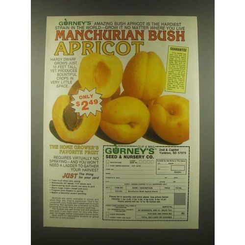 1985 Gurney's Seed & Nursery Ad - Bush Apricot
