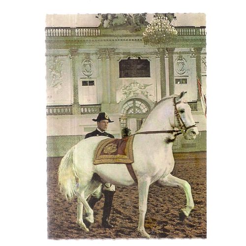 VIENNA, SPANISH RIDING SCHOOL unused vintage postcard #