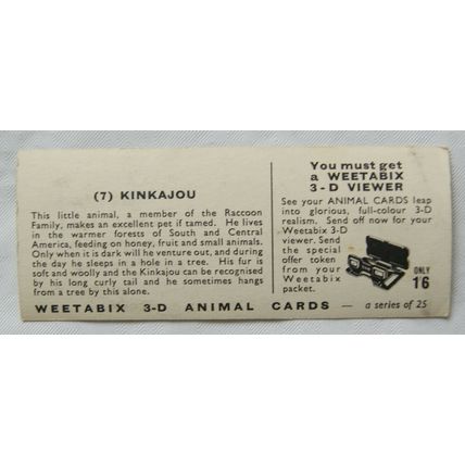 1960s Weetabix 3-D Animal Card No. 7 Kinkajou