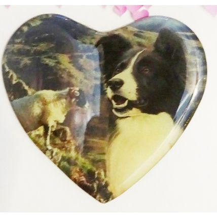 BORDER COLLIE HEART SHAPED ACRYLIC FRIDGE MAGNET