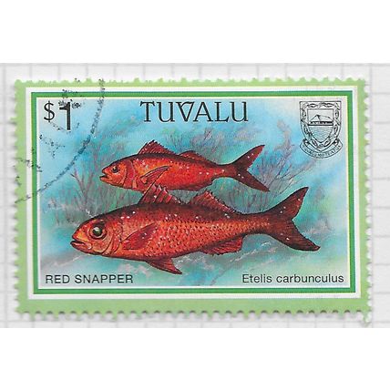 TUVALU 1997 FISH SERIES $1 RED SNAPPER USED MARINE SEA LIFE FAUNA