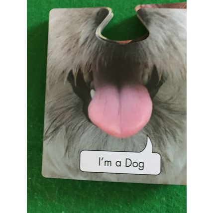 "Who am I?" game
