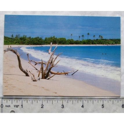 1990 postcard Sandy Beach & Blue Sea, Fiji