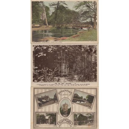 Greetings From Watford Bridge Fig Tree Herts 3x Old Postcard s
