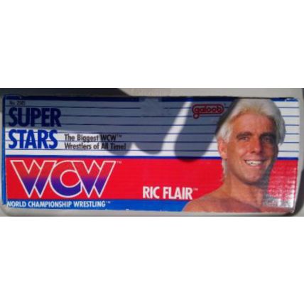 wcw wwf ljn hasbro galoob wrestling superstars 12" ric flair wrestling figure