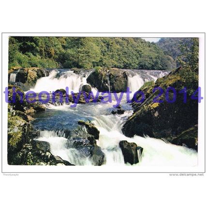 Salmon Leap Falls, Cenarth, Cardiganshire, Wales, 1960/70s?, Postcard