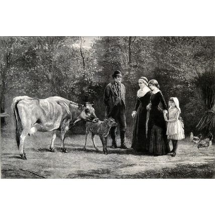 A NEW ARRIVAL 1883 Heywood Hardy VICTORIAN ENGRAVING