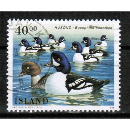 1996 Iceland - Sc# 815 used - Barrow's Goldeneye 40.00kr