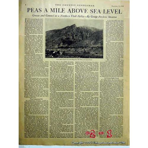 PEAS A MILE ABOVE SEA LEVEL 1918 Utah farming canning vintage article