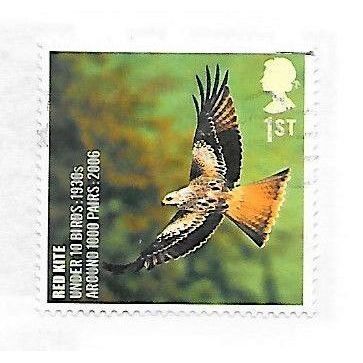 GB 2006 BIRDS RED KITE PROTECTED ENDANGERED POPULATION RISE USED