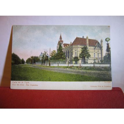 CALLE EN EL TIGRE, BUENOS AIRES, ARGENTINA unused antique postcard #