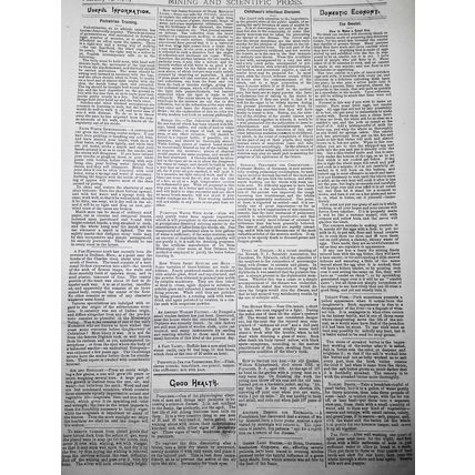 Mining and Scientific Press Feb 19, 1876. Yellowstone Falls; Pedestrian Training