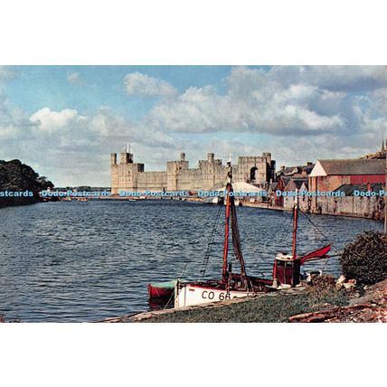 D100184 Caernarvon Castle. North Wales. Dixon