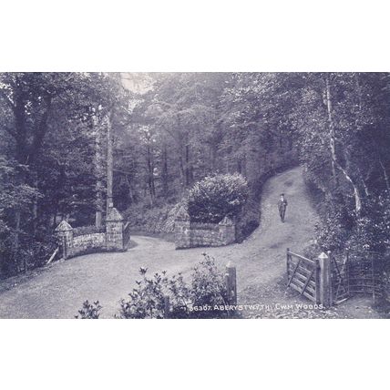 A658 ABERYSTWITH - CWM WOODS