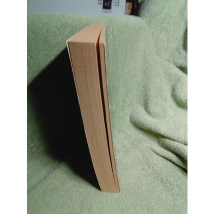 The Burning Stone, by Deborah Turner Harris PBO
