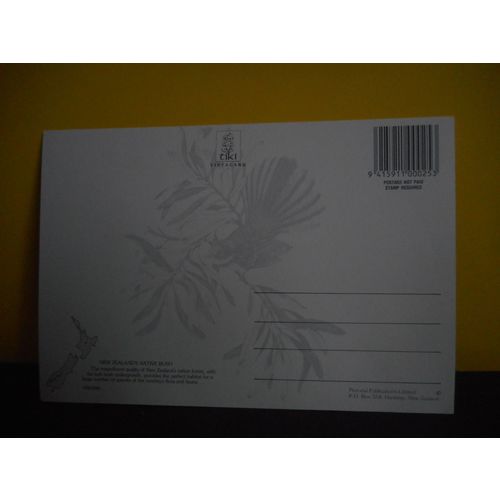 New Zealand's Native Bush Postcard
